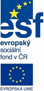 esf_eu_vertikalni.jpg, 51,8kB